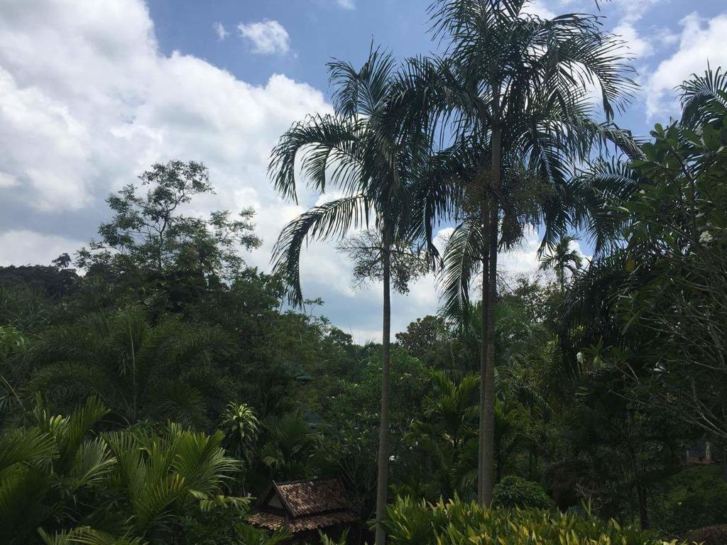 Aonang Cliff Mountain New Resort Ao Nang Exterior foto