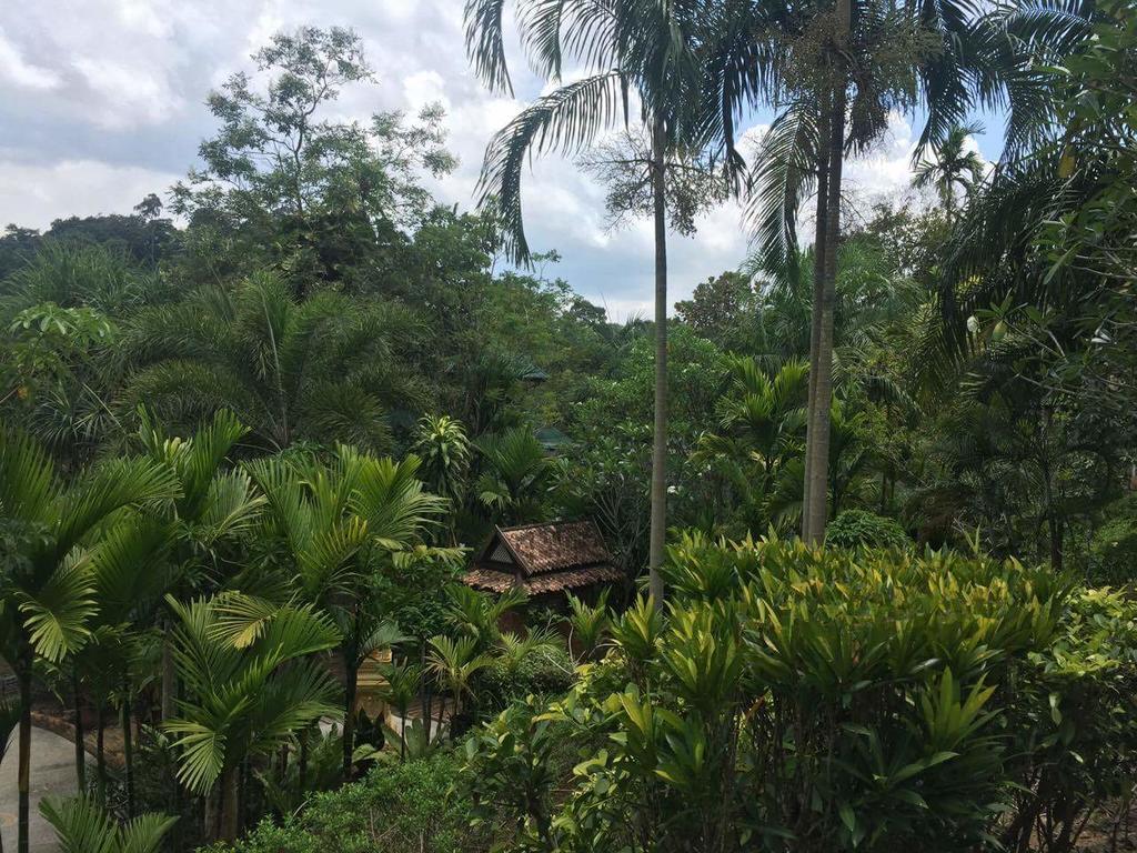 Aonang Cliff Mountain New Resort Ao Nang Exterior foto