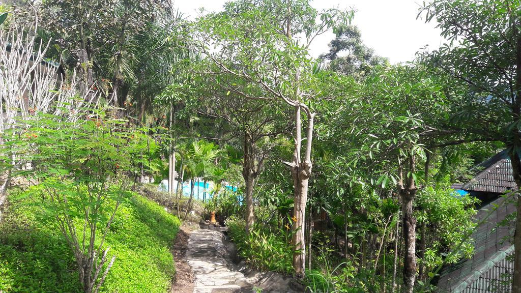 Aonang Cliff Mountain New Resort Ao Nang Exterior foto