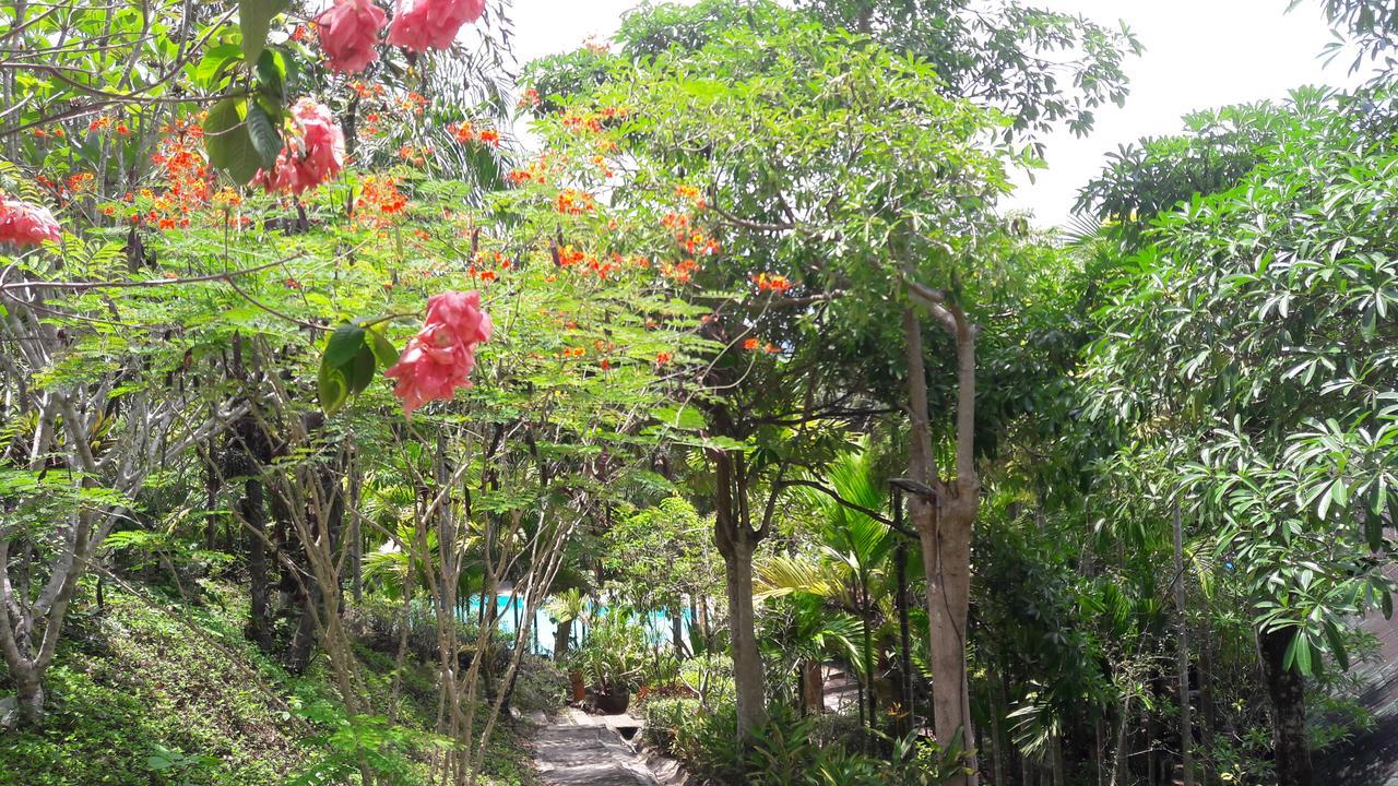 Aonang Cliff Mountain New Resort Ao Nang Exterior foto